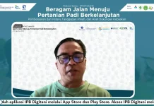 Beragam Praktik Dorong Pertanian Padi Berkelanjutan Indonesia