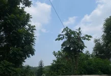 Kota Bogor Miliki Potensi Hujan, Ditengah Musim Kemarau yang saat ini Terjadi