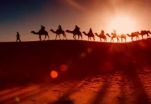 Kecintaan terhadap Rasulullah SAW Perlu Terus Dipupuk dalam Maulid Nabi