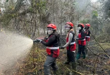 Lahan Gambut dan Minim Air Jadi Kendala Relawan Padamkan Karhutla di Kalbar