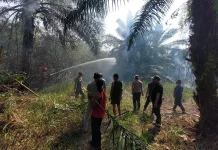 Kapolsek Gunung Sindur Gerak Cepat Antisipasi Kebakaran Lahan Kebun Bambu