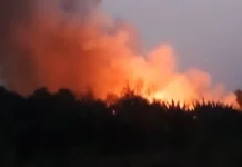 Kebakaran Lahan di Sekitar TPA Galuga, DLH Kota Bogor Lakukan Penanganan