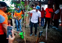 Tanam Pohon Jadi Simbol Kepedulian Lingkungan di Kota Bogor