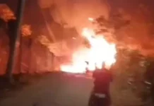 Kebakaran Lahan Bambu di Rumpin, Warga dihimbau Tidak Membakar Sampah Sembarangan
