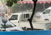 Hujan Mulai Turun, Pemkab Bogor Tetap Waspadai Dampak Kekeringan