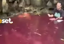 Fenomena Mata Air Berwarna Merah di Gunung Sindur Bogor