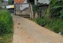 Warga Ciseeng Keluhkan Galiah C, Petugas Langsung Cek Lokasi Tidak Ada Aktivitas