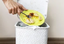 Mengapa Sampah Makanan Sering Berakhir di Tempat Sampah?