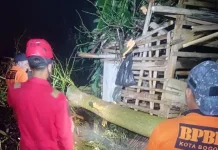 Longsor di Curug Bogor Barat Ancam Rumah Warga