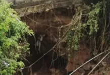 Waspada Jalan Alternatif Puncak menuju Taman Safari Berpotensi Longsor