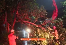 629 Laporan Kejadian Masuk ke BPBD Kota Bogor hingga Awal Oktober