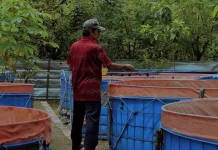 Bupati Bogor: Pembangunan Daerah Harus Berangkat dari Kebutuhan Desa