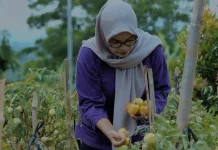 Bupati Bogor Dorong Pembangunan Desa Berbasis Potensi dan Kebutuhan Masyarakat