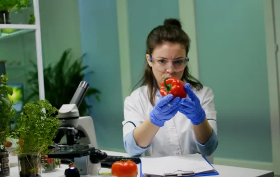 Ilmuwan Ciptakan Tomat Beraroma Popcorn lewat Rekayasa Genetik