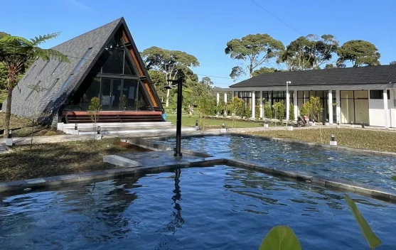 Agrowisata Gunung Mas Hadirkan Inovasi Penginapan Ditengah Kebun Teh