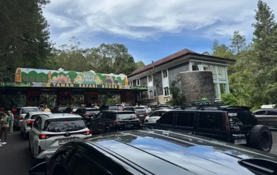 Libur Panjang ke Bogor? Jangan Lewatkan Destinasi Favorit Wisatawan Ini