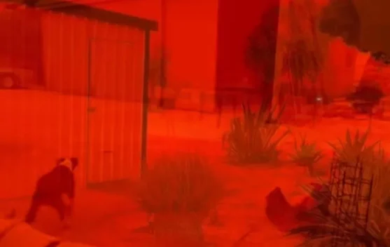 Badai Debu Ekstrem Landa Shark Bay Australia