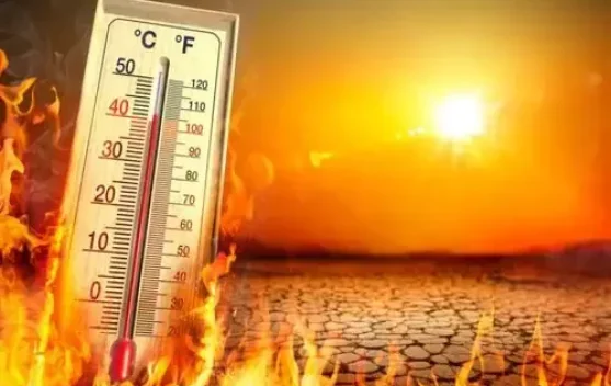 Dunia Diperkirakan Hadapi Gelombang Panas Ekstrem hingga 2030
