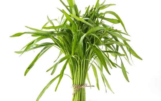 Kangkung, Pilihan Sayuran Sehat yang Mudah Diolah di Rumah