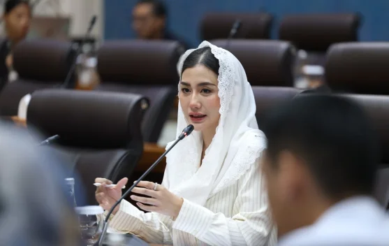 Anggota Komisi VII DPR RI Soroti Lemahnya Pertumbuhan Perfilman