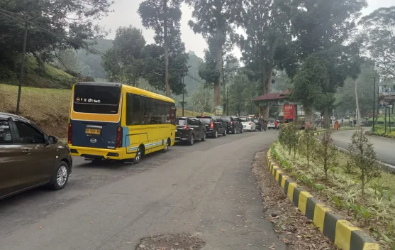 Libur Sekolah 2026, Gunung Mas Siapkan Glamping dan Wahana Pemandian Air Dingin