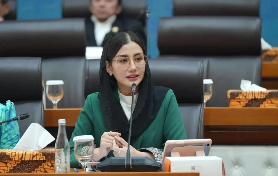 Pembekuan Saldo Ecommerce Dinilai jadi Bukti Negara Gagal Lindungi UMKM Digital