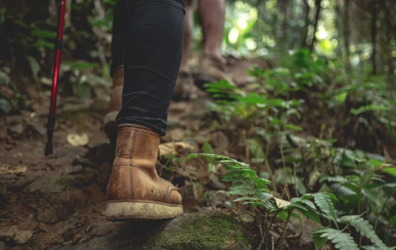 Hiking Tingkatkan Kebugaran Kurangi Stres dan Risiko Penyakit