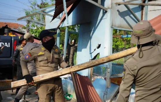 Tegakkan Aturan, Satpol PP Kabupaten Bogor Tertibkan 103 Bangli di Ciseeng