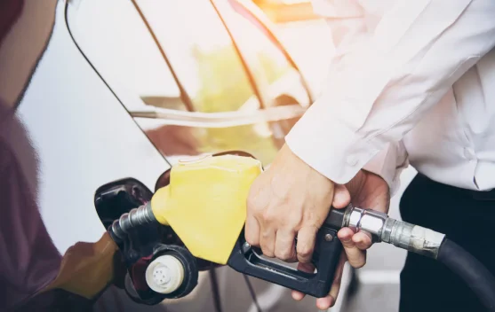 International Biodiesel Day, Mengenal Bahan Bakar Alternatif dari Sumber Terbaru