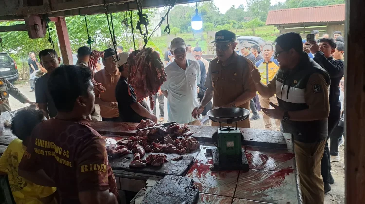 Harga Daging dan Telur di Bone Stabil jelang Ramadan