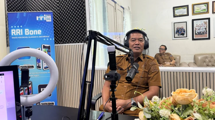 Digitalisasi Pajak Bone Perkuat Transparansi PAD