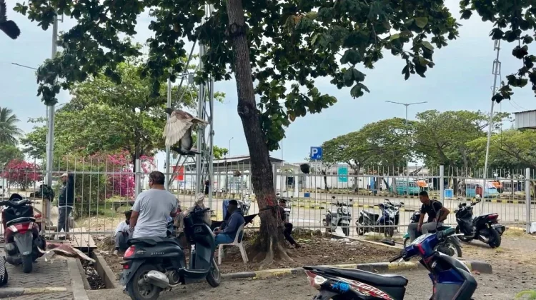 Penutupan sementara Pelabuhan Bajoe Picu Kekhawatiran Warga dan Penumpang