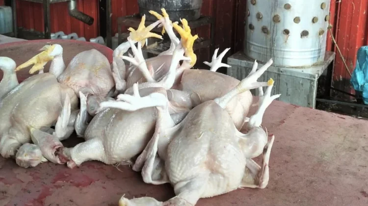 Pedagang Makanan Bone Keluhkan Harga Bahan Baku Naik