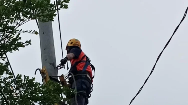 Petir Putus Jaringan Listrik, PLN Sinjai Bergerak Cepat