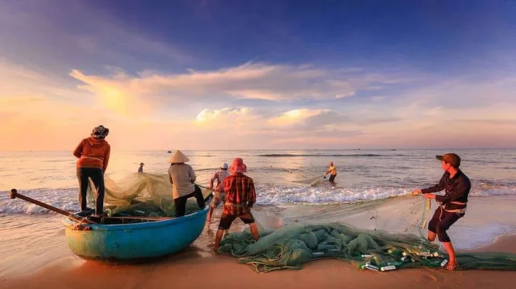 Nelayan Bone Minim Tangkapan, Harga Ikan Terus Melonjak