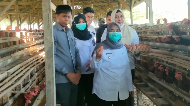 Bupati Sinjai Dorong Bumdes Perkuat Rantai Pasok Pangan MBG