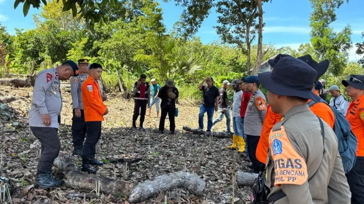 Basarnas Turun Tangan Cari Lansia Hilang di Kabupaten Bone