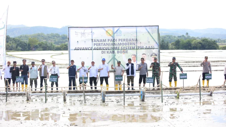 Tanam Perdana PM-ASS di Kahu, Bupati Bone Dorong Modernisasi Pertanian