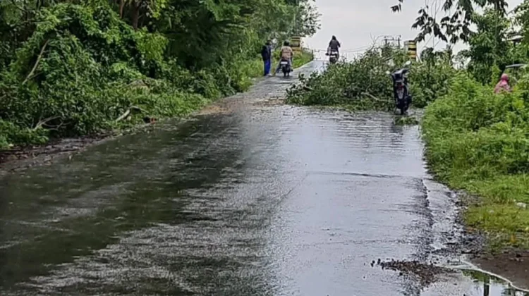 BPBD Sinjai Imbau Warga Waspadai Cuaca Ekstrem dan Longsor