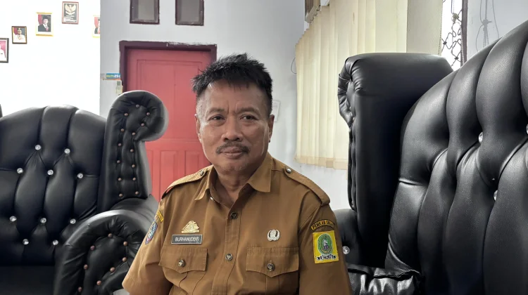 Stok Melimpah, Sinjai Kirim Ribuan Sapi Kurban ke Luar Daerah