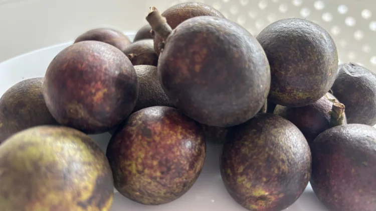 Mengenal Buah Matoa, Si Manis Khas Dari Papua