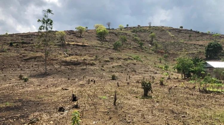 Aktivitas Tambang dan Alih Fungsi Lahan Ancam Ketahanan Air di Bone
