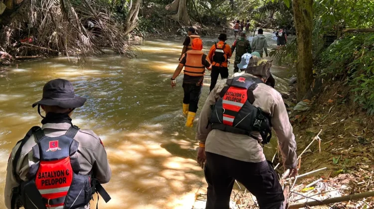 SAR Gabungan Intensif Cari Lansia Hilang di Soppeng