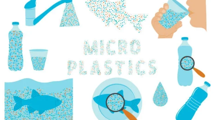 Mikroplastik Ancam Kesehatan Manusia dan Kelestarian Lingkungan