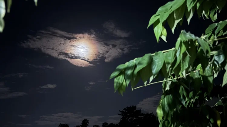 Mengenal Fenomena Strawberry Moon yang Menghiasi Langit Malam di Bulan Juni