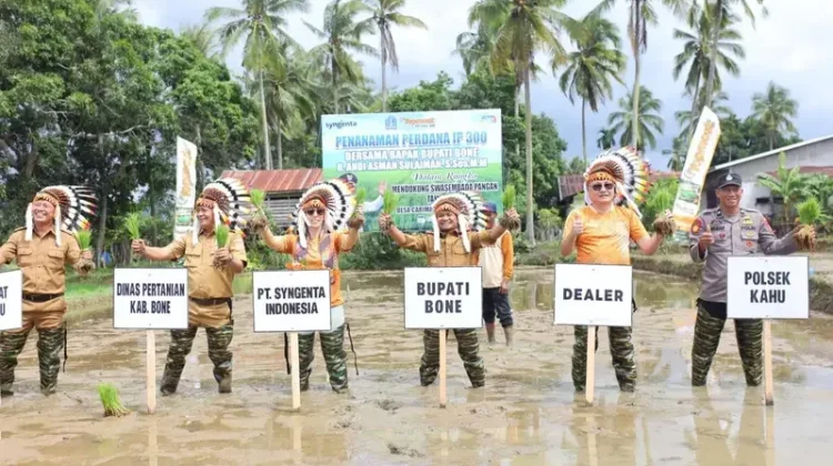 Wujudkan Swasembada Pangan, Bupati Bone Tanam Perdana Inpari 300 di Kec. Kahu