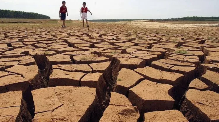 Efek Berantai El Nino pada Kehidupan Sehari-hari