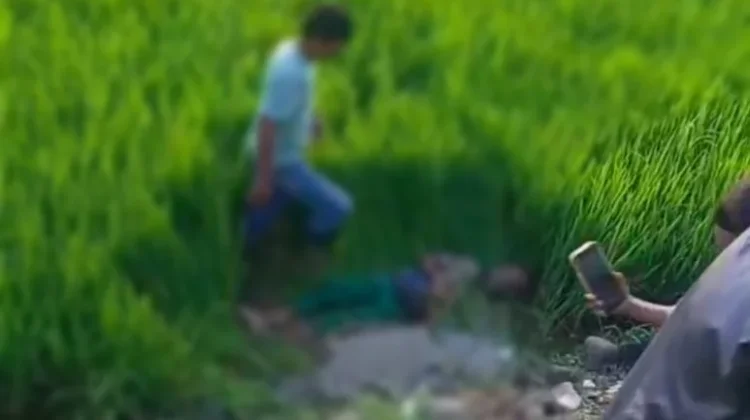 Seorang Pria Ditemukan Meninggal Dunia di Pinggir Sawah di Bone