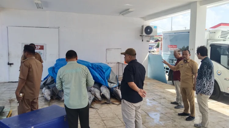 Prima Sinjai Masuk Lima Besar SSIC, Tawarkan Investasi Rp120 Miliar