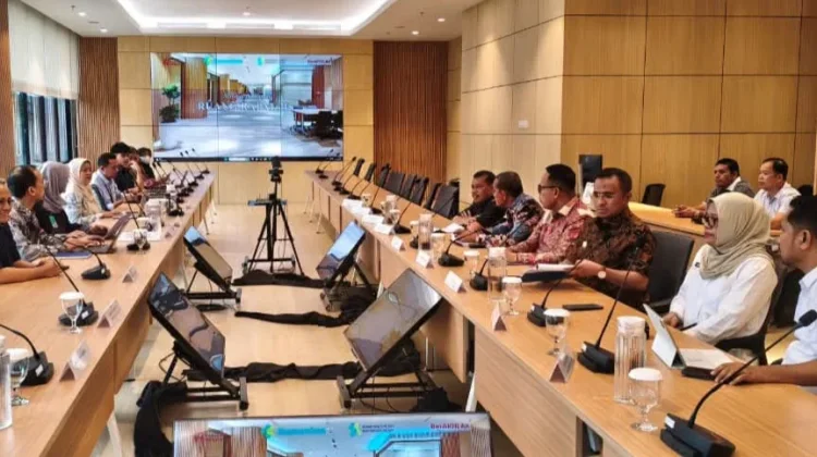 Wabup Bone Perjuangkan Peningkatan Layanan Kesehatan ke Kementerian Kesehatan